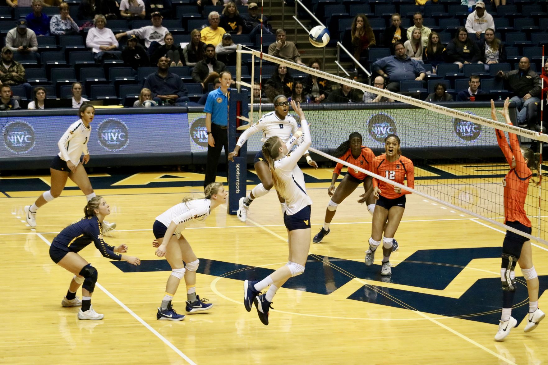 wvu volleyball